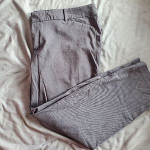 Grey pixie pants | PLUS SIZE